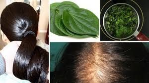 Are Homeopathic Hair Loss Treatments Really Effective?